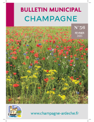 Bulletin n°36 – Février 2025
